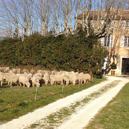 B&B Domaine Le Clos Du Pavillon Brignoles Exteriér fotografie