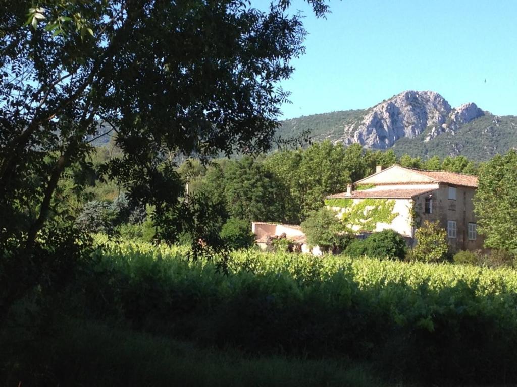 B&B Domaine Le Clos Du Pavillon Brignoles Exteriér fotografie