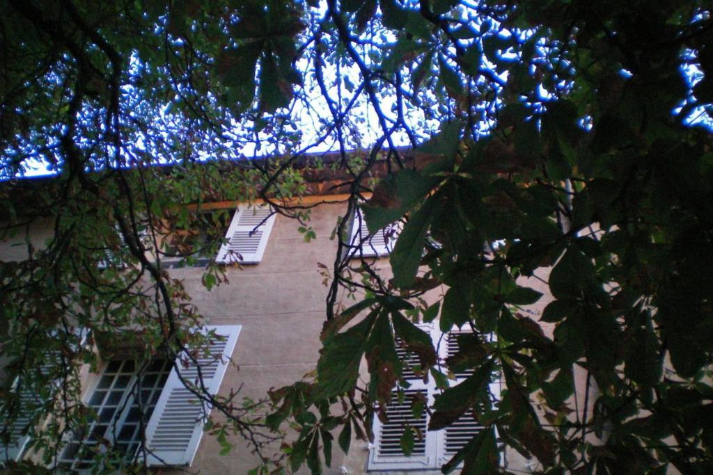 B&B Domaine Le Clos Du Pavillon Brignoles Exteriér fotografie
